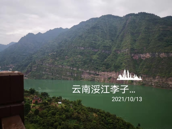 云南李子園